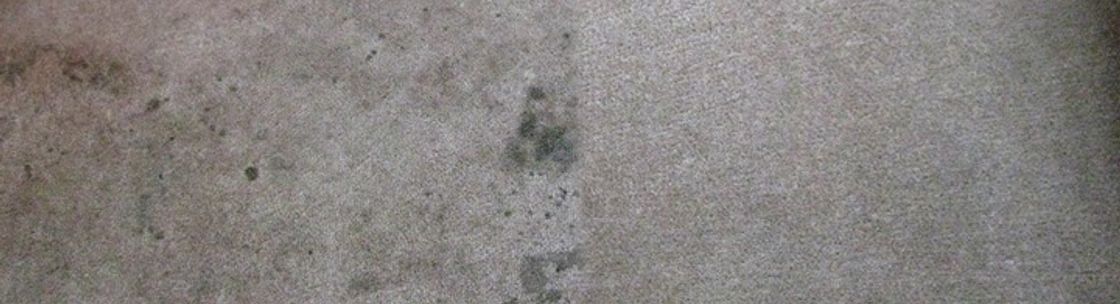 Renu Carpet & Tile Cleaning, Summerfield FL