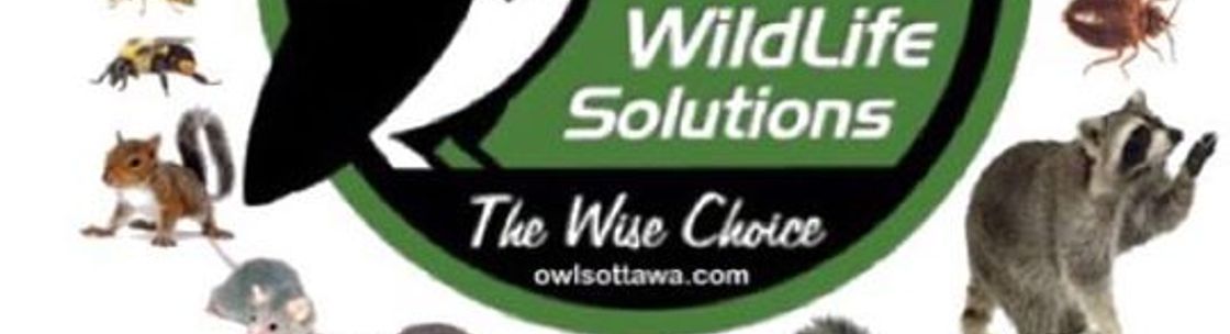 OWLS Pest Control LTD, Arnprior ON