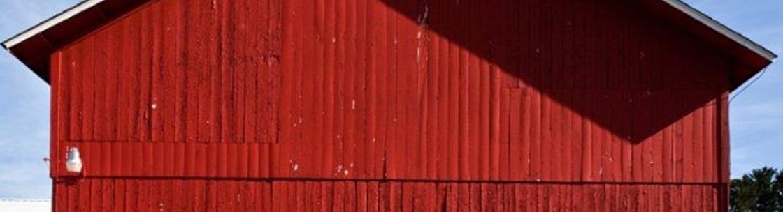 Bravehearts Therapeutic Riding & Educational Center, Harvard IL