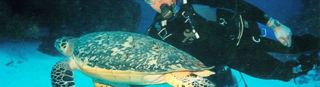 By The Shore SCUBA Instruction LLC, Raleigh NC
