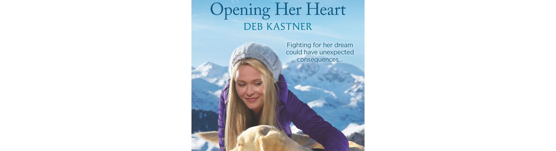 Joe Kastner retired and disabled, but help my wife's writer career , Johnstown CO
