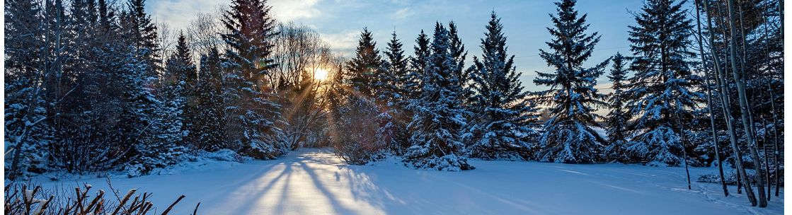 Macri Photography, Sherwood Park AB