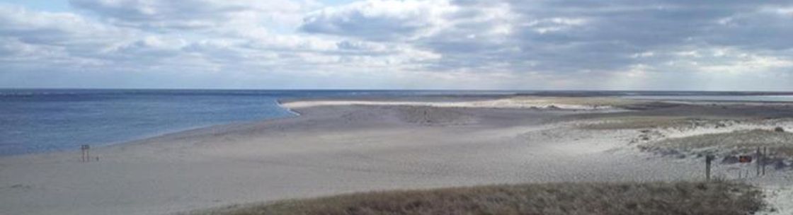 Sunny Fellman, Realtor at Kinlin Grover Real Estate, Chatham MA