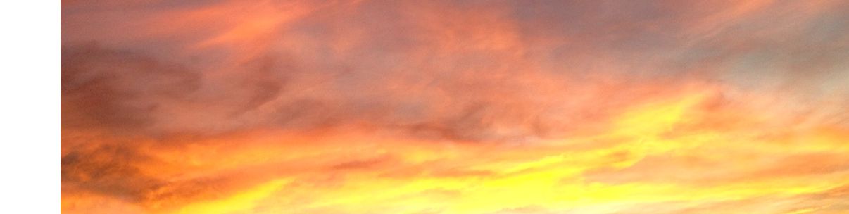 A Poetic Body, Reno NV