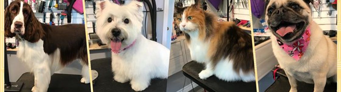 Grooming Tails Pet Salon - Fredericton, NB - Alignable