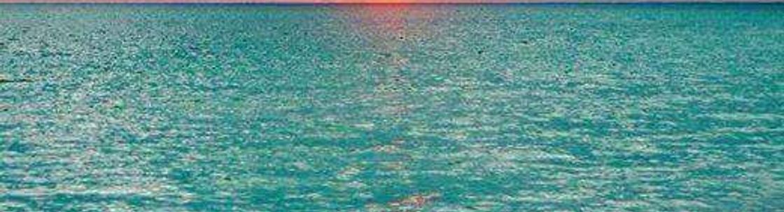 Premiere Plus Realty serving all of SWFL, Cape Coral FL