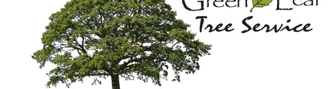 Green Leaf Tree Service Lafayette La Alignable