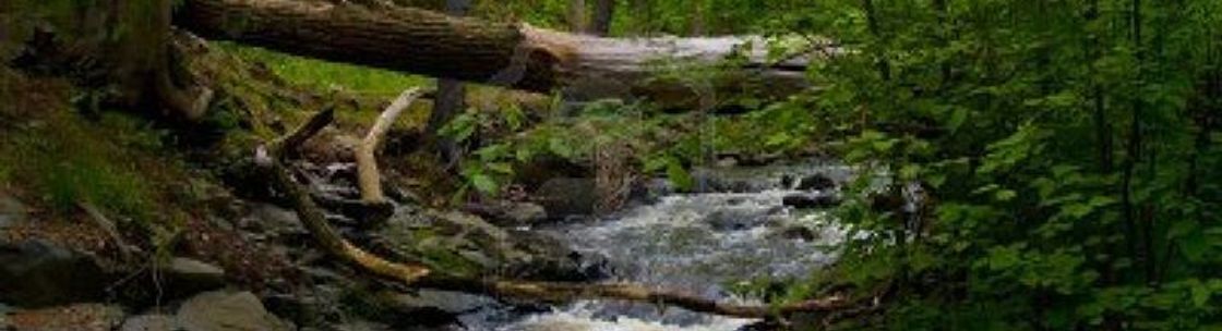 Wellness in the Woods, Verndale MN