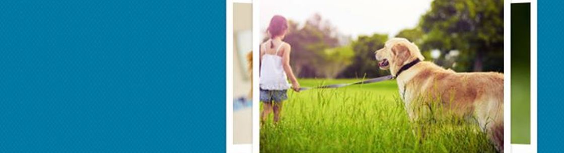 Davids Animal Clinic, Altamonte Springs FL