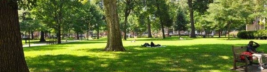 Washington Square Chiropractic Center, LLC, Philadelphia PA