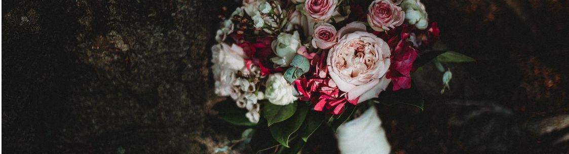 Alison Margo Photography, Southport CT