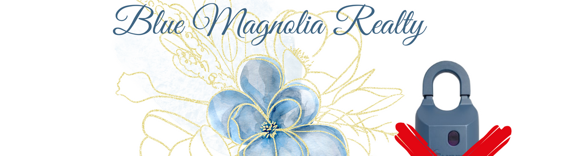 Broker at Blue Magnolia Realty, Orlando FL