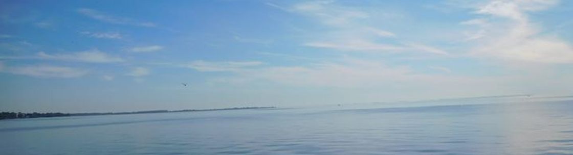 Rathnaw & Associates Real Estate, St Clair Shores MI