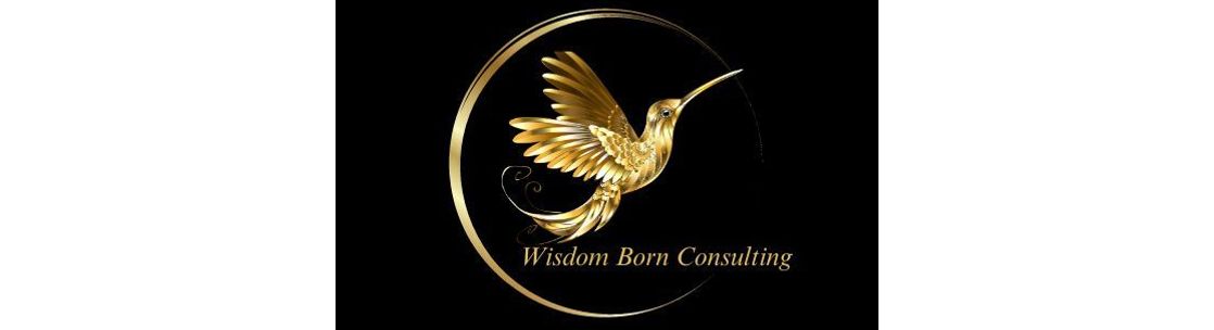 Wisdom Born Consulting , Bronx NY