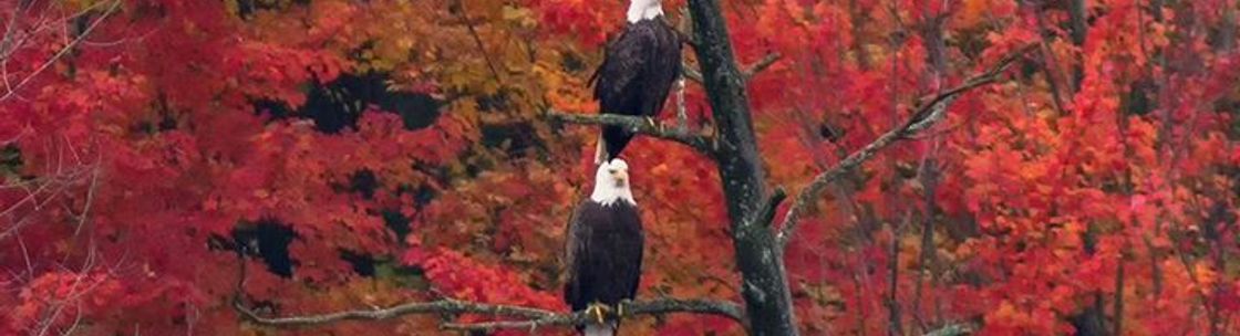 E-RATE NEW ENGLAND LLC, Readfield ME