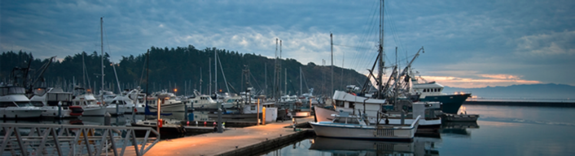 The Mayo Home Team @ RE/Max Gateway, Anacortes WA