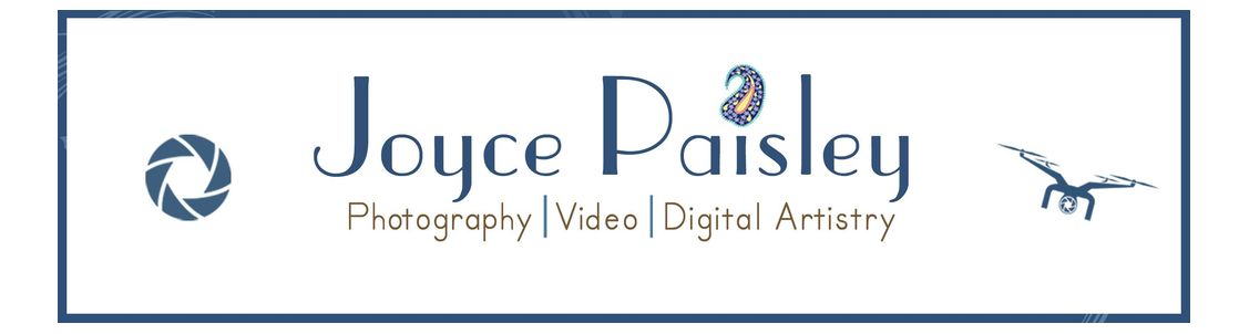 Joyce Paisley Photography, Milwaukee WI