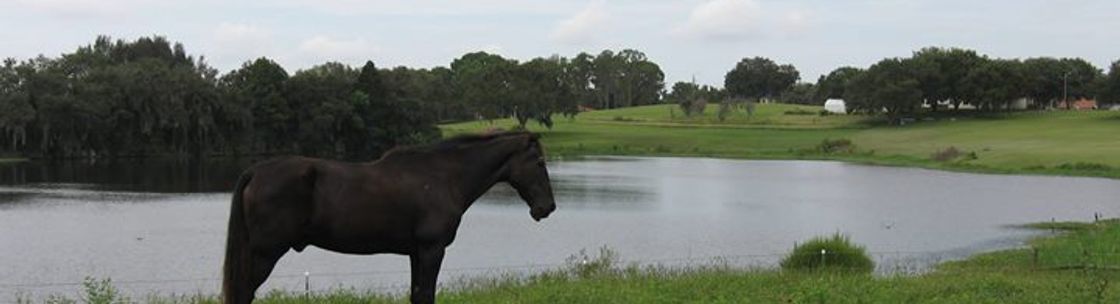 TiAnViCa Riding Academy, Bartow FL
