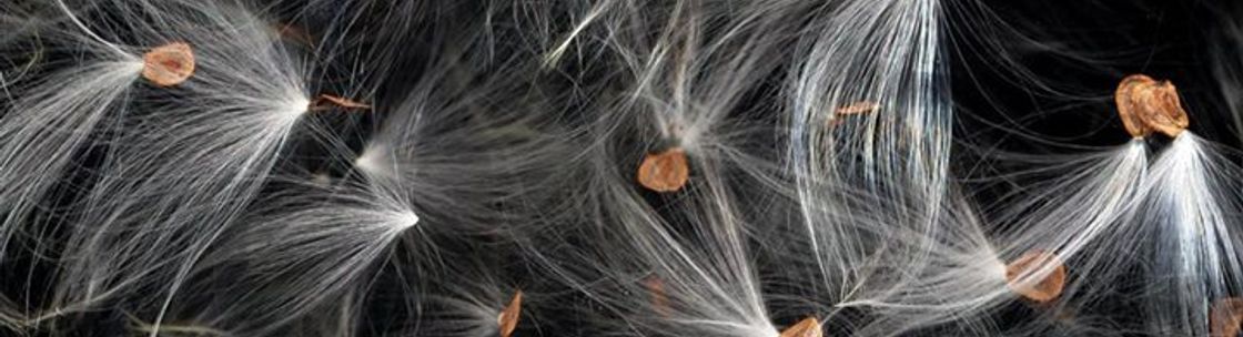 Art Reproduction Services - Hummelstown, PA - Alignable