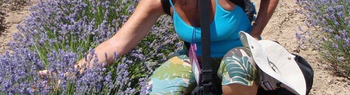 Joan Apter Aromatherapy and Wellness Programs, Woodstock NY