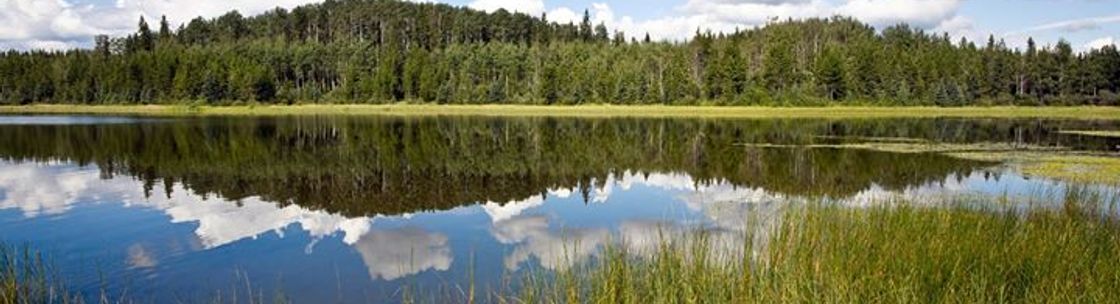 Alberta Rural Development Network (ARDN), Edmonton AB