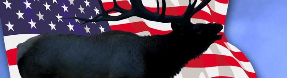 Discount Hunts LLC, Longmont CO