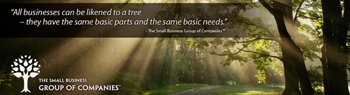 The Small Business Accountants Ltd., Calgary AB