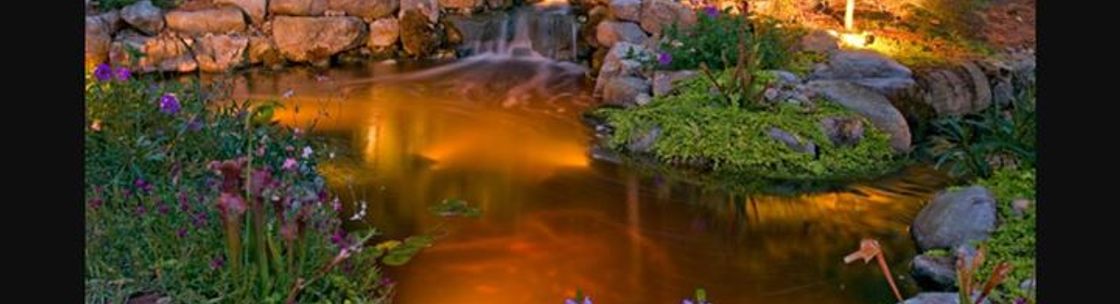 Divine landscapes, Visalia CA