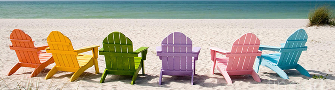 Paradise News, Saint Petersburg FL
