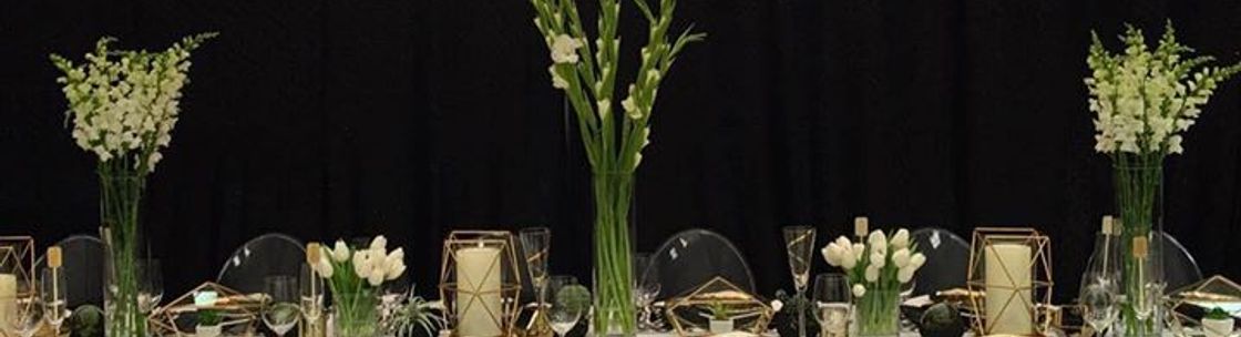 Le Luci Event Lighting, Wichita KS