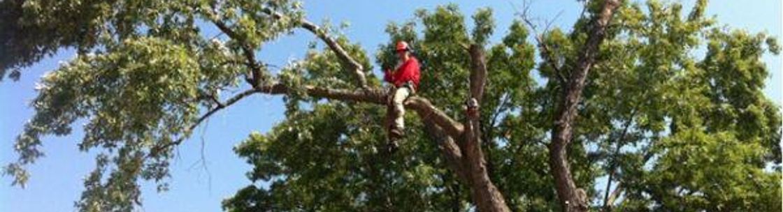 Jake�s Top Notch Tree Service LLC Princeton Area Alignable