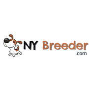 NY Breeder