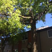 Buena Vista Apartments