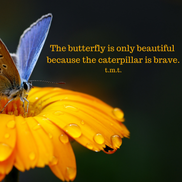 Christine Domino, Holistic Life Coach, 12-Step Recovery Coach, Forest Hills NY