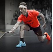 All Sports and Wellness