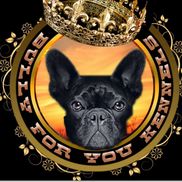 Bully For You Kennels