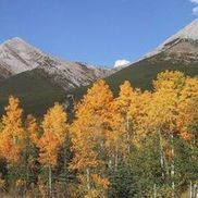 Calgary Guide Service