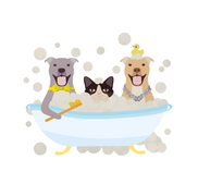 Diamonds and Dutch Pet Bath & Spa