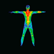 Flow Well, member of Breast Thermography International - Alignable