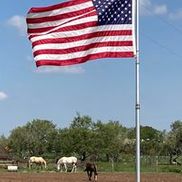 Campbell Quarter Horses