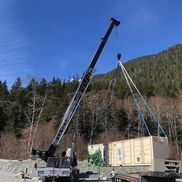 49th parallel cranes
