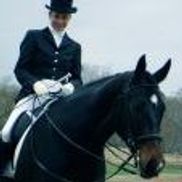 Maddox Dressage