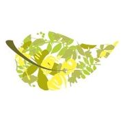 Salve' Natural Body Care