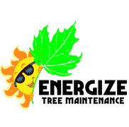 Energize Tree Maintenance