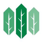 Emerald Tree Care LLC