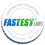 Fastest Labs of Saint Paul