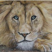 Claudia Chandler Art