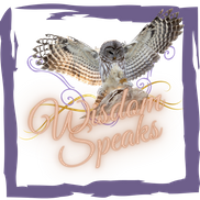 360 Wisdom Speaks Podcast & Media