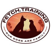 Pet First Aid & CPR Certified Training by FETCH Training LLC in ...