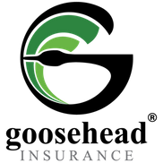 Michele Zurface Goosehead Insurance